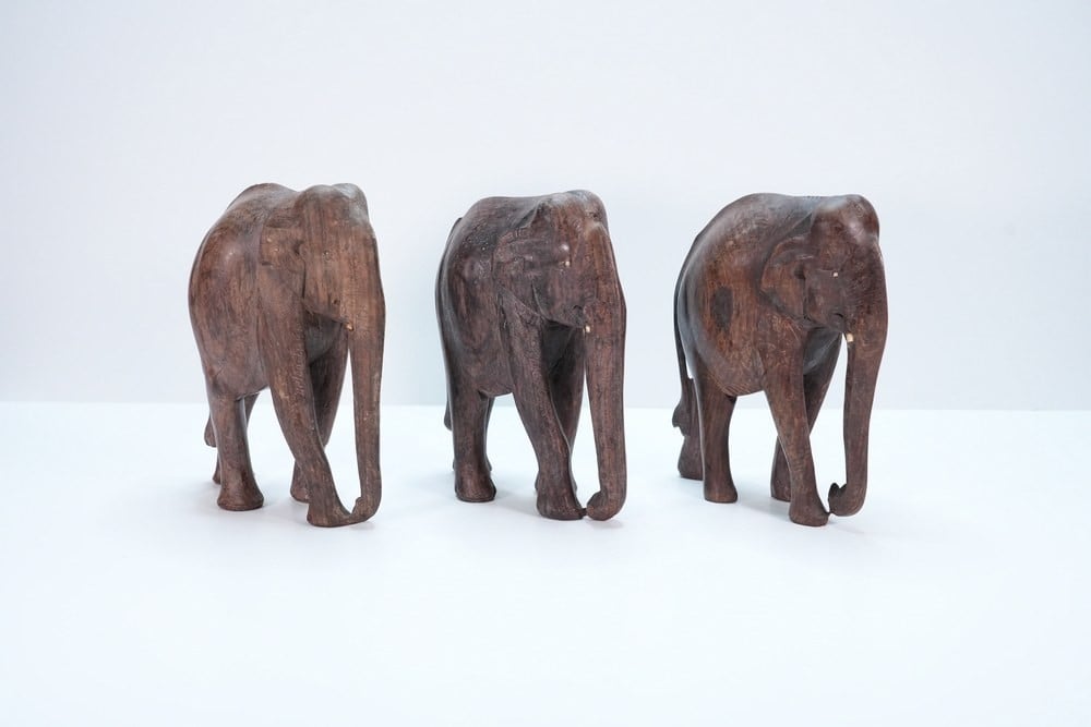 Set of Three Carved Wooden Elephant Sculptures - 1