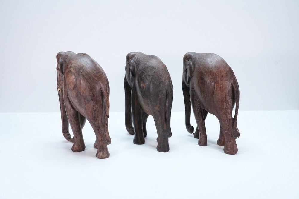 Set of Three Carved Wooden Elephant Sculptures - 2