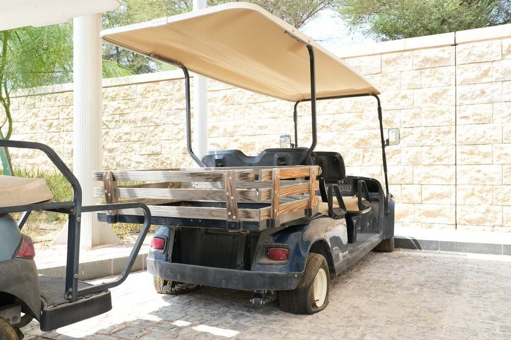 Golf Cart - 12