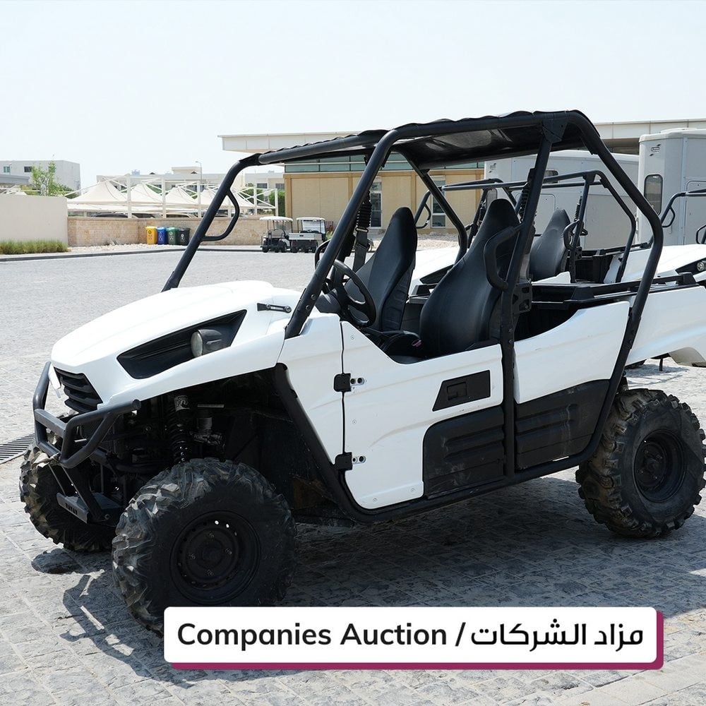 Kawzaki Buggies - 1