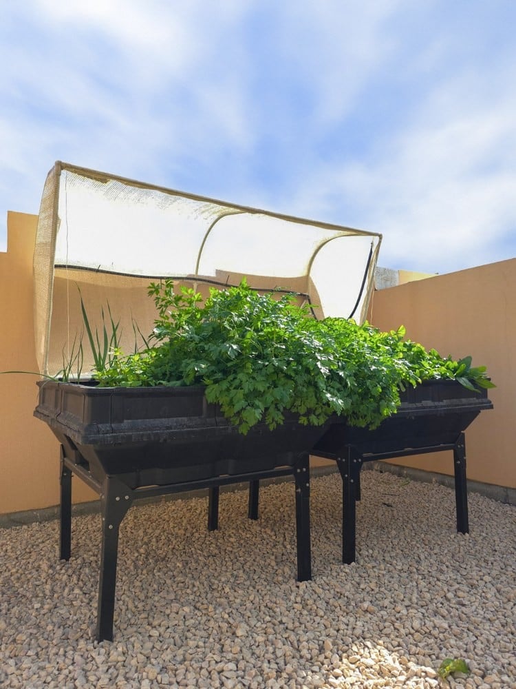 Large Vegepod with Stand - 5