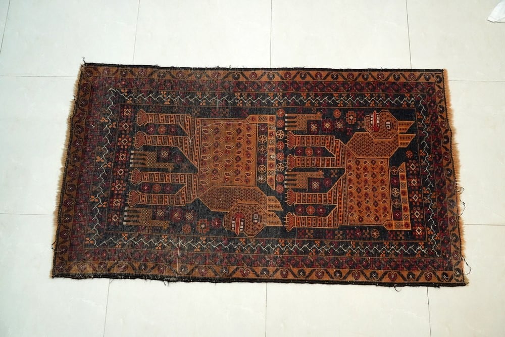 Antique Hand-Knotted Persian Iranian Rug – Lion Design - 5