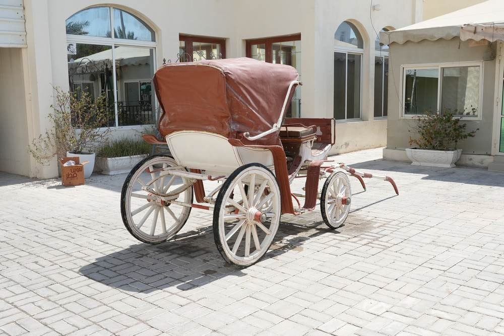 عربة خيل حنطور ملكية كلاسيك  - 6