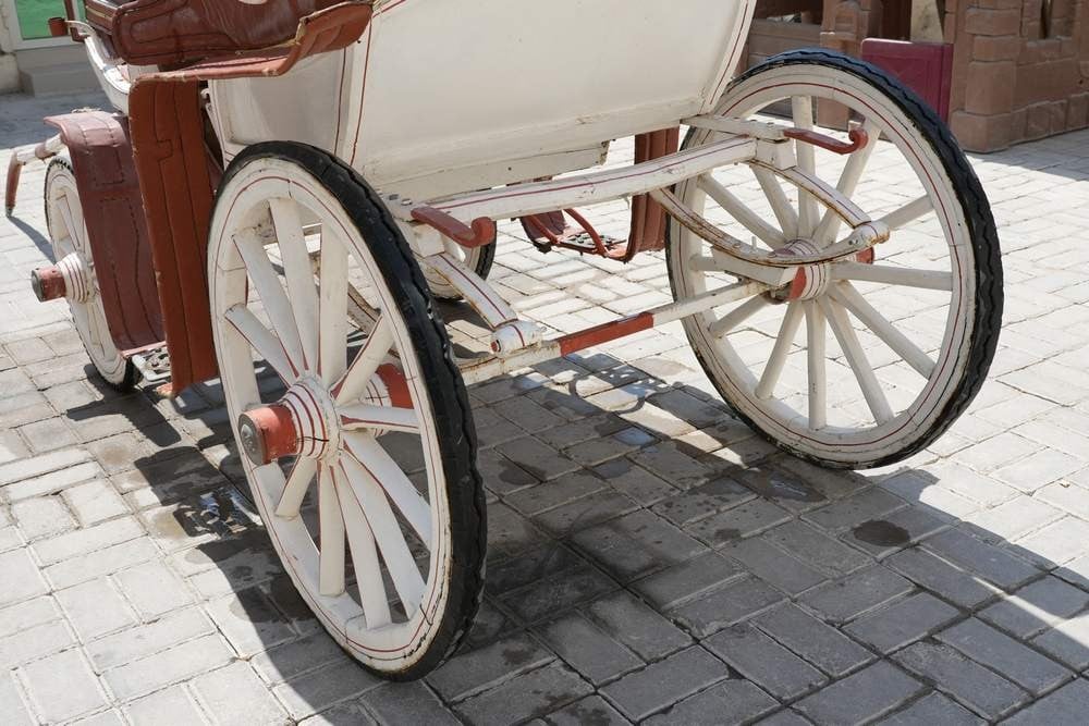 عربة خيل حنطور ملكية كلاسيك  - 8