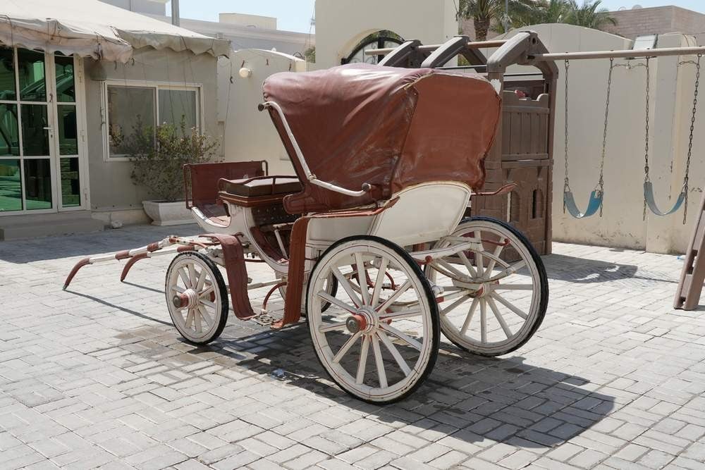 عربة خيل حنطور ملكية كلاسيك  - 4