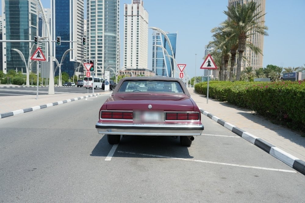 بونتياك باريسيان موديل 1991، Y-15830 - 6