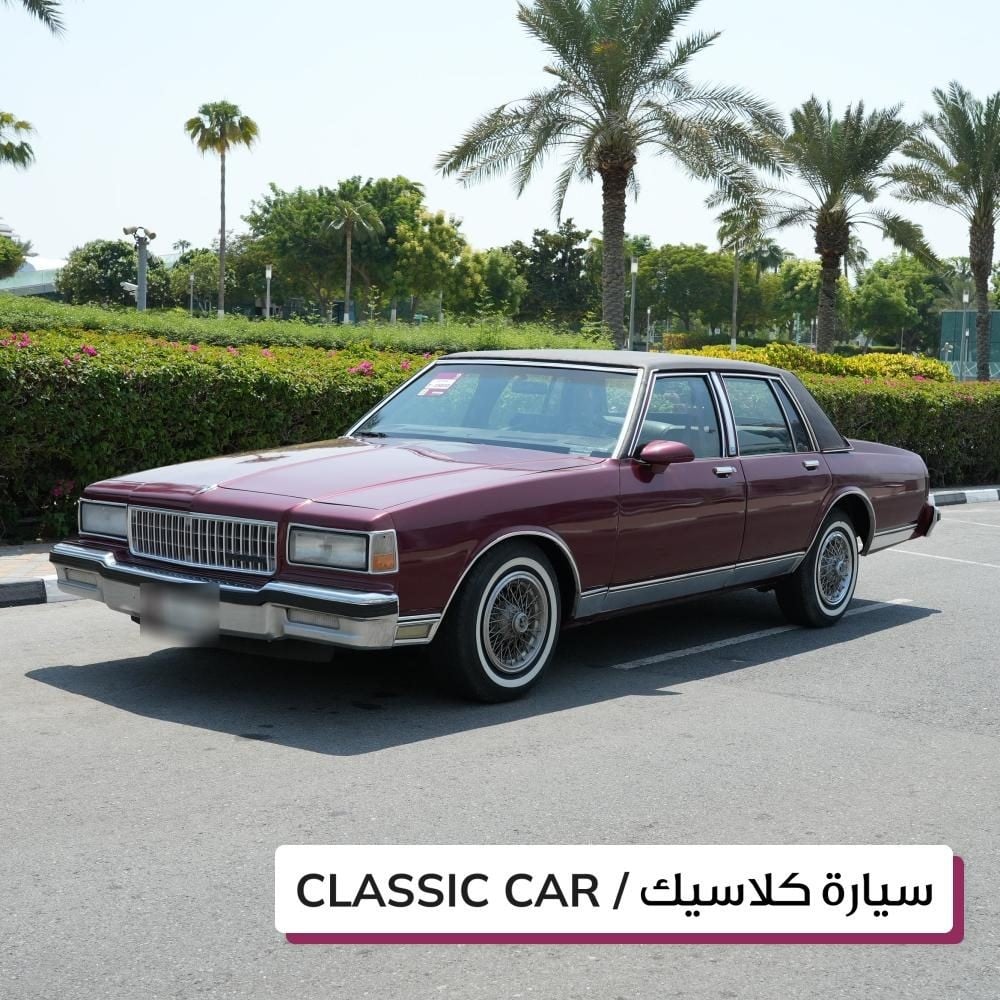 بونتياك باريسيان موديل 1991، Y-15830 - 2