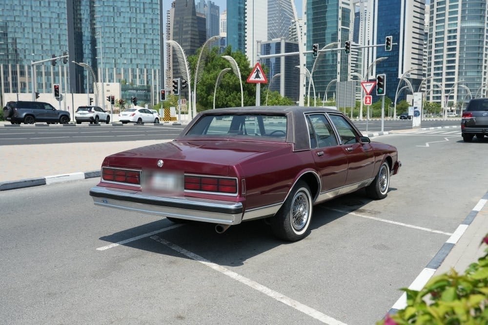 بونتياك باريسيان موديل 1991، Y-15830 - 7