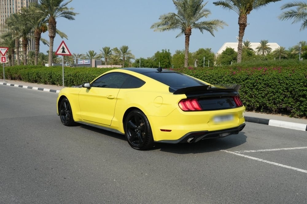 فورد موستانج موديل 2021، Y-15850 - 4