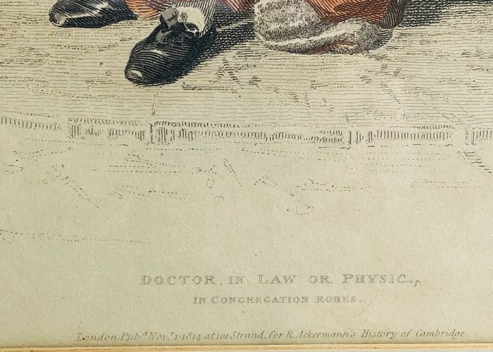 Antique European Wall Print – Doctor in Law or Physic, in Congregation Robes - 2
