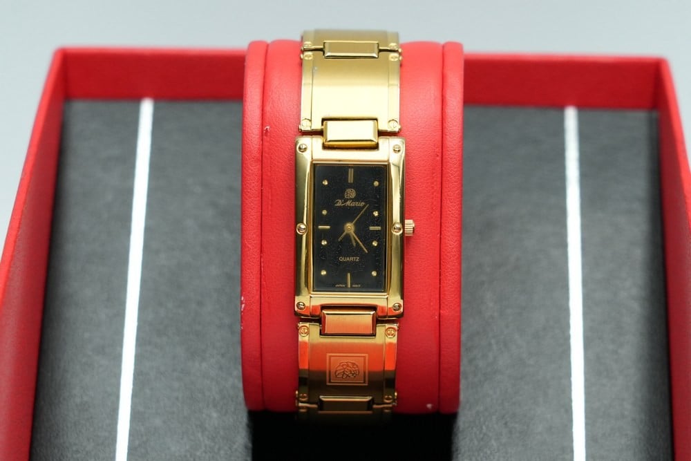 D'Mario Women's Watch - 2