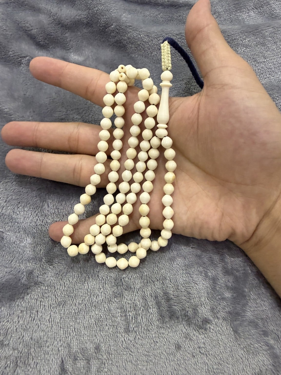 مسباح عاج فيل - 4