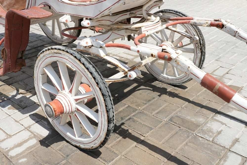 Classic Royal Horse-Drawn Carriage - 4