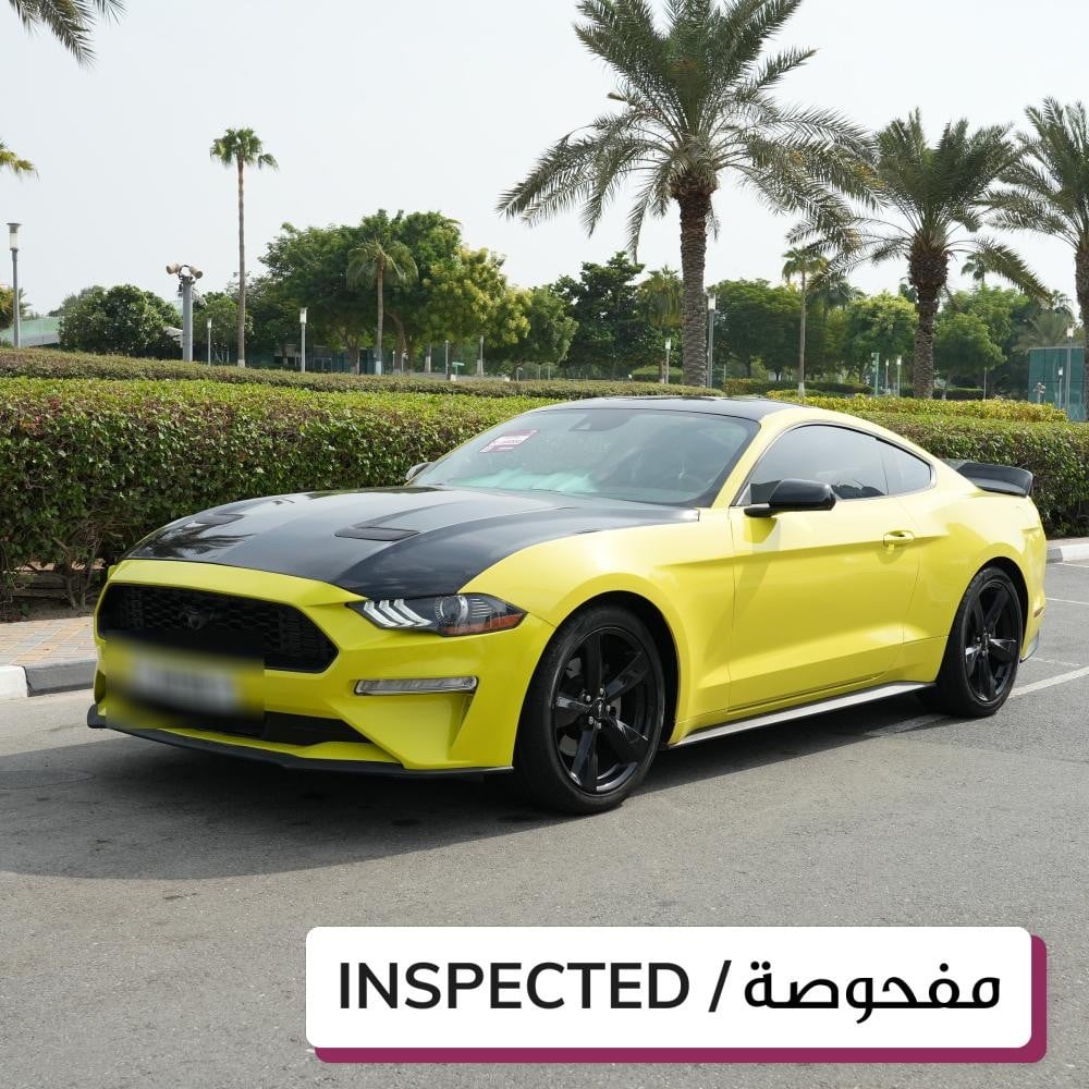 فورد موستانج موديل 2021، Y-16000 - 2