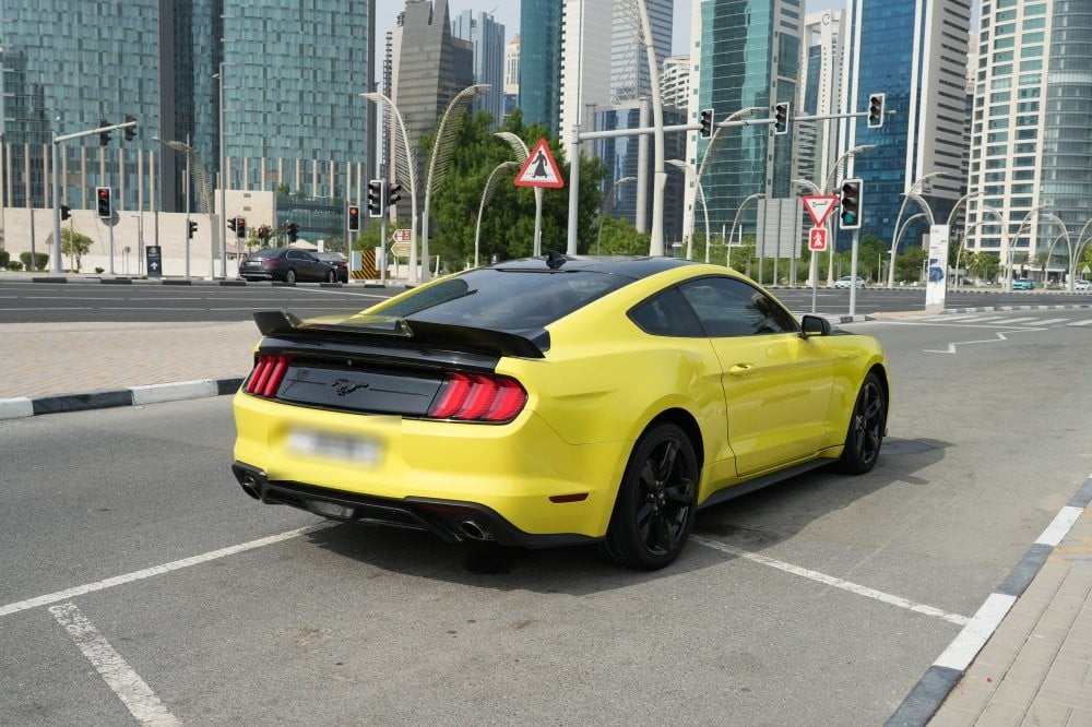 فورد موستانج موديل 2021، Y-16000 - 7