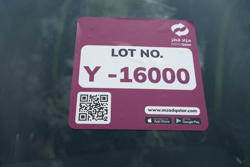 فورد موستانج موديل 2021، Y-16000 - 12