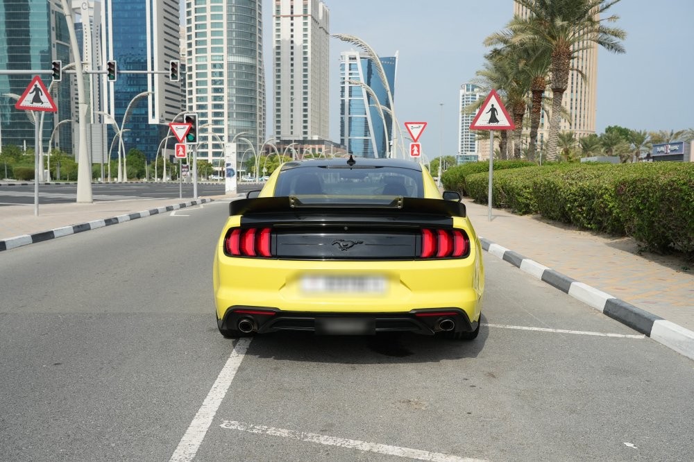 فورد موستانج موديل 2021، Y-16000 - 6