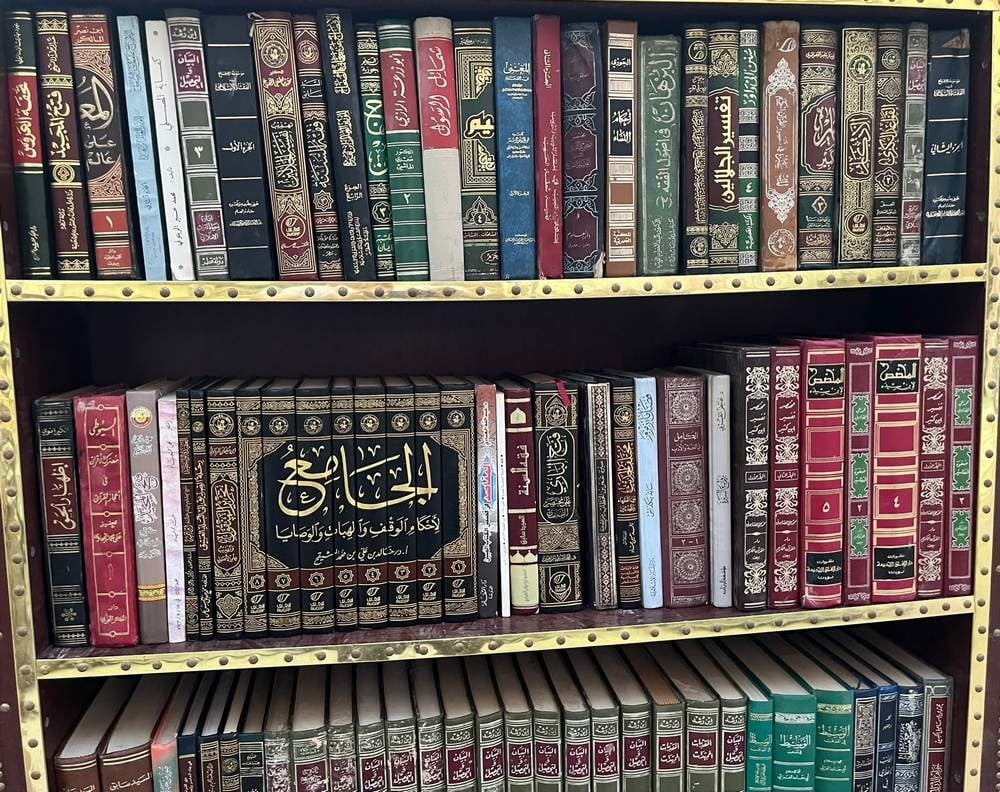 Collection of 230 Assorted Books - 5