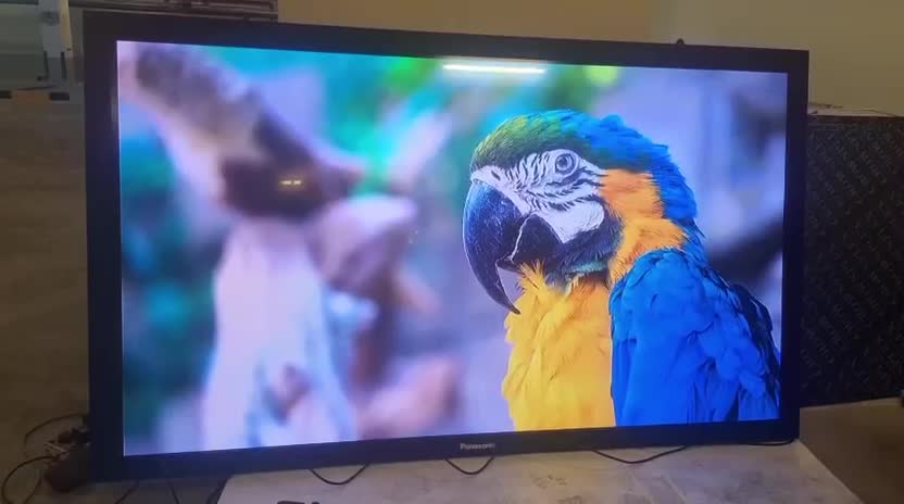 Sharp LCD Monitors - 1