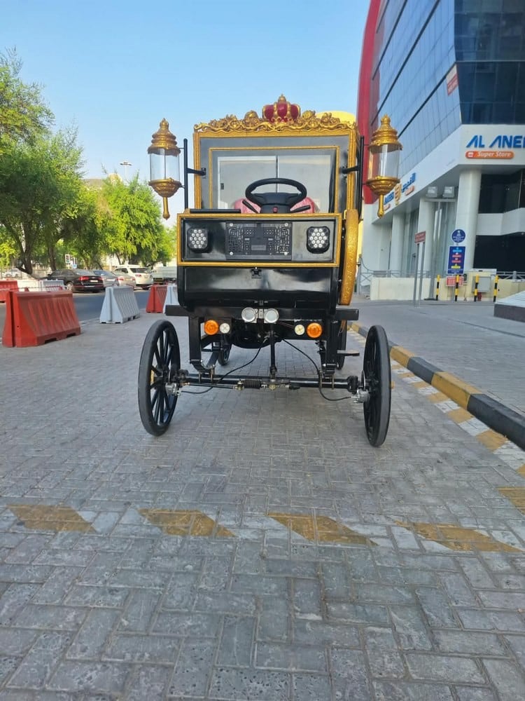Electric Royal Horse Carriage - 2
