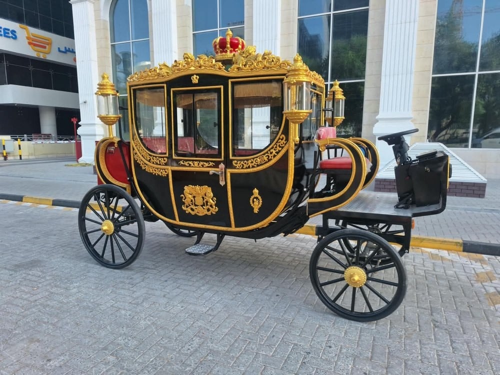 Electric Royal Horse Carriage - 4