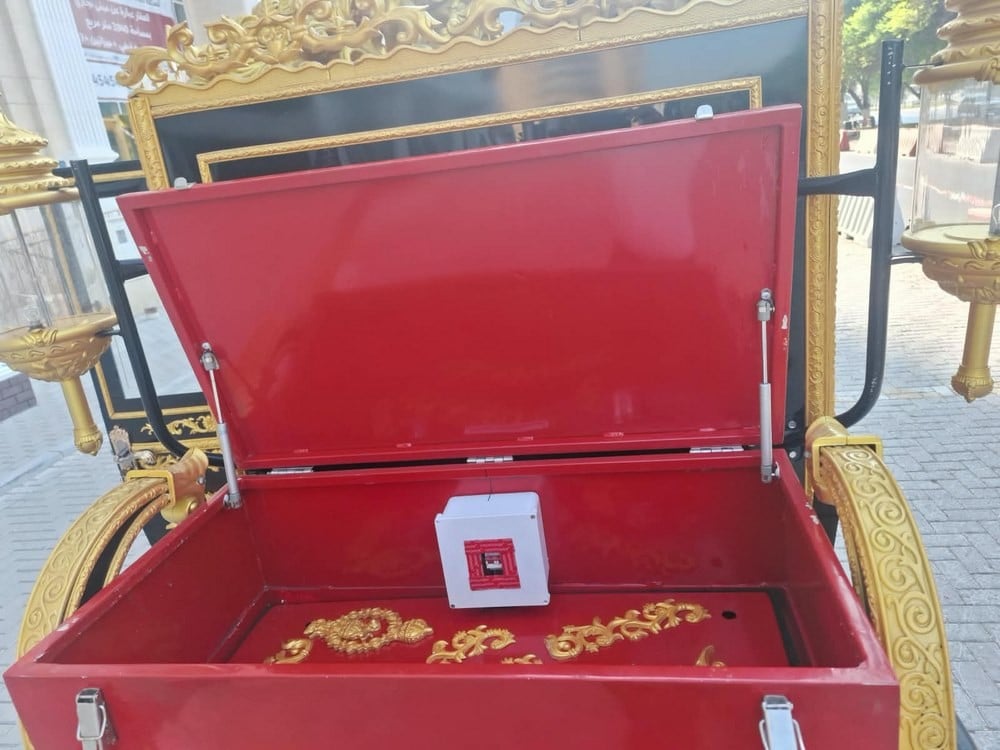 Electric Royal Horse Carriage - 17