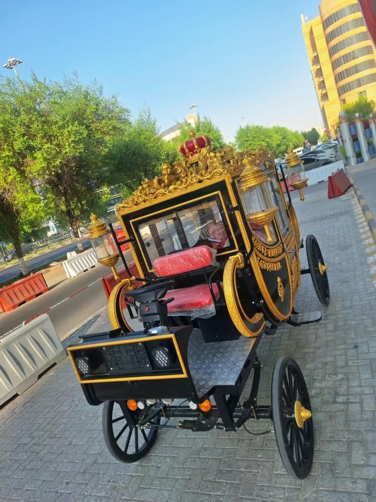 Electric Royal Horse Carriage - 14