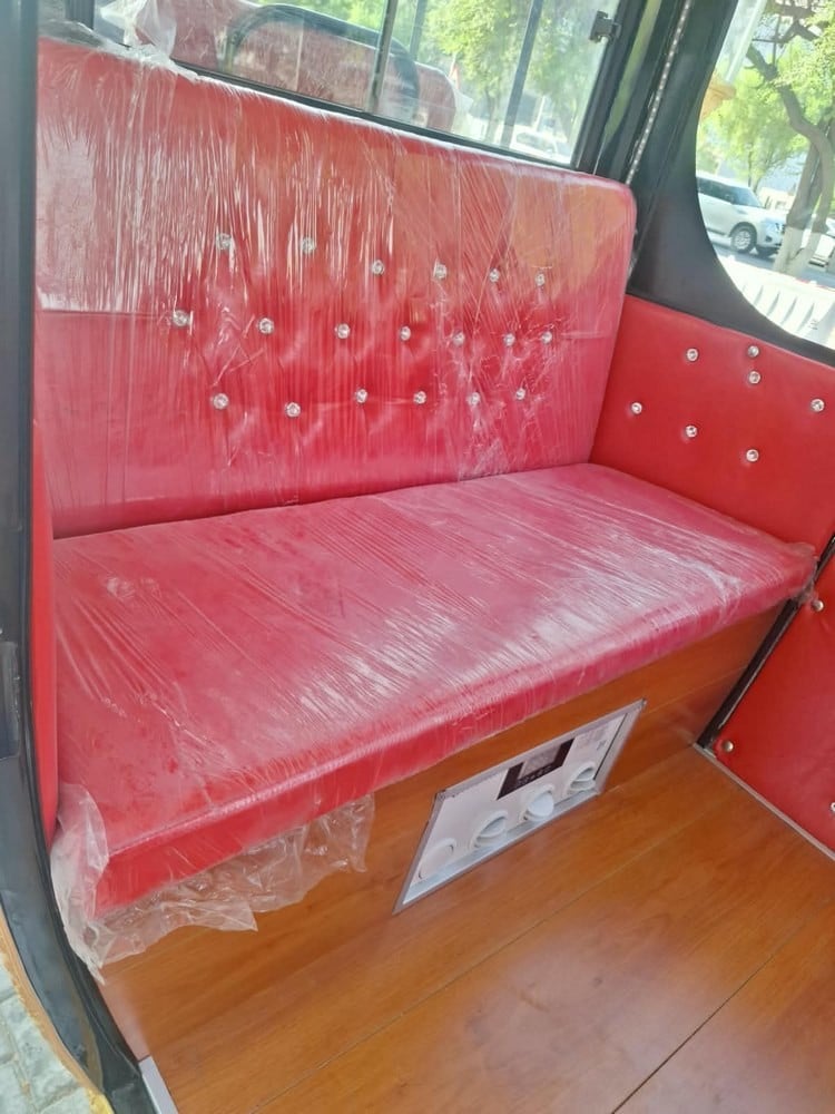 Electric Royal Horse Carriage - 8