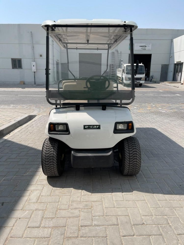 Electric Golf Cart - 2