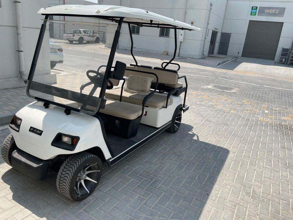 Electric Golf Cart - 1
