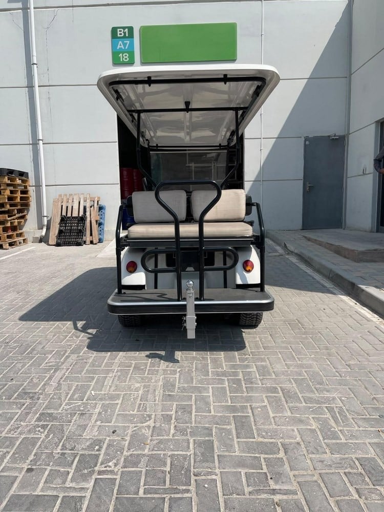 Electric Golf Cart - 3
