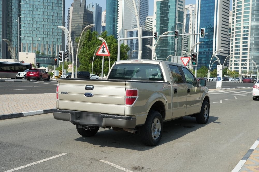 Ford F150 Model 2009, Y-16115 - 7