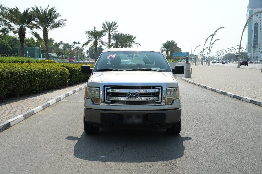 Ford F150 Model 2009, Y-16115 - 4
