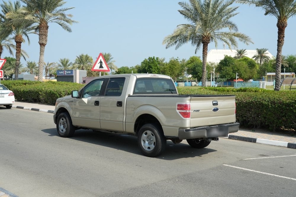 Ford F150 Model 2009, Y-16115 - 5