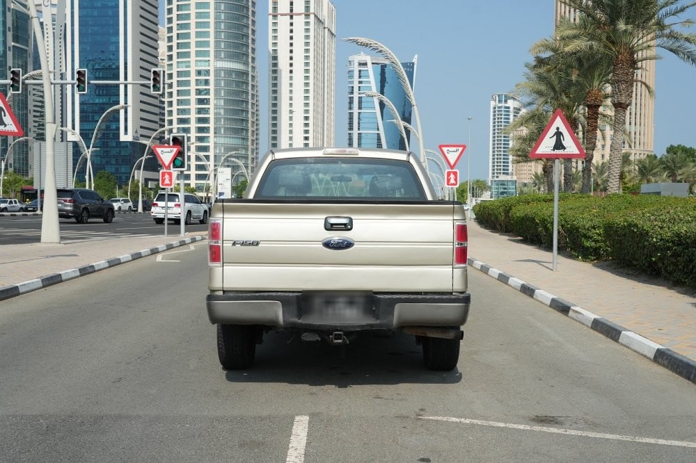 Ford F150 Model 2009, Y-16115 - 6