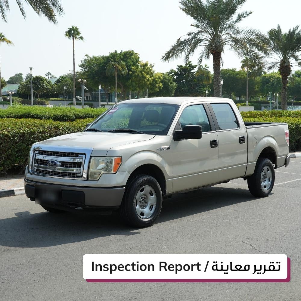 Ford F150 Model 2009, Y-16115 - 2