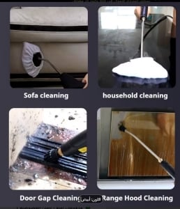High temperature pressure Steam Cleaner - 2