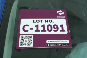 فورد فوكس إس يو ڤي موديل 2021، C-11091 - 6