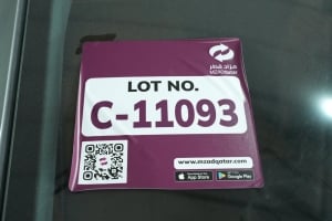 إكسيد TXL إس يو ڤي موديل 2025، C-11093 - 6