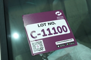 هوندا أكورد سيدان موديل 2006، C-11100 - 8