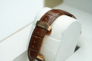 GF Ferre Watch - 8