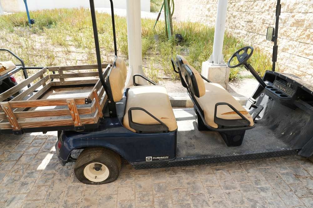Golf Cart - 8