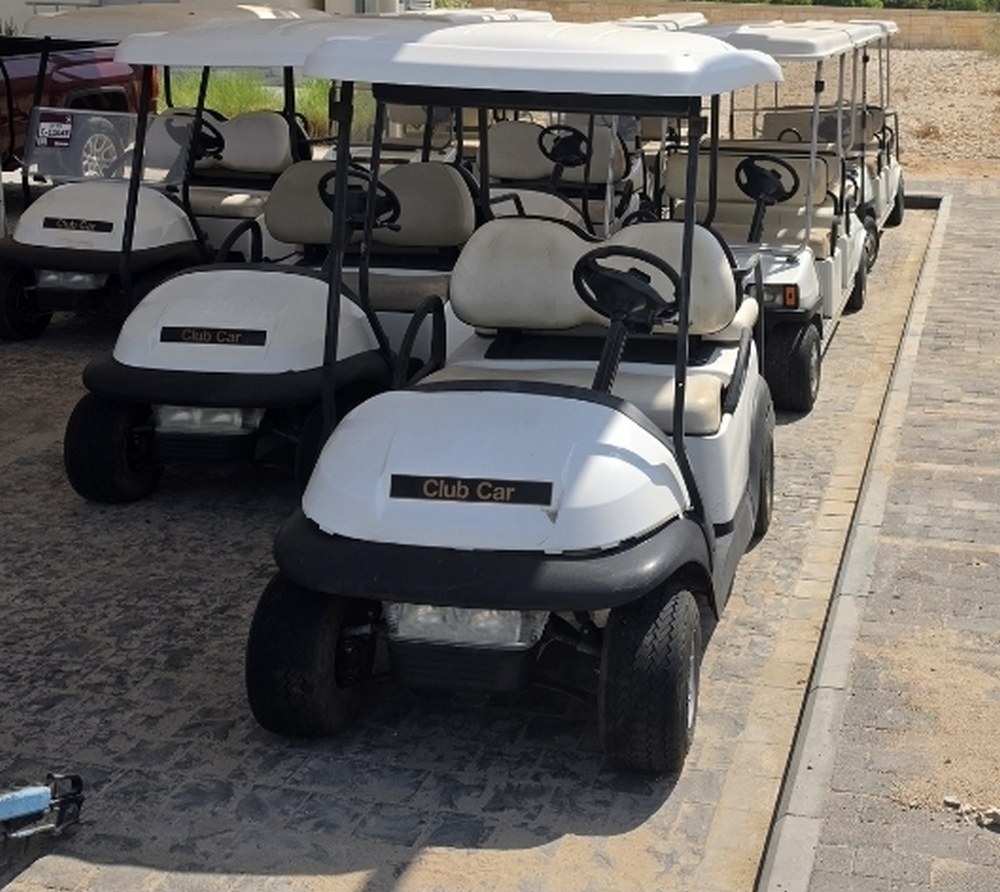 Used Golf Carts - 7