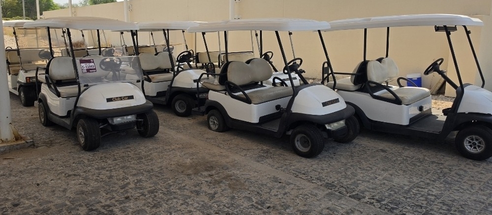 Used Golf Carts - 6