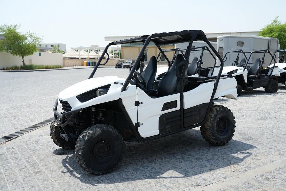Kawzaki Buggies - 7