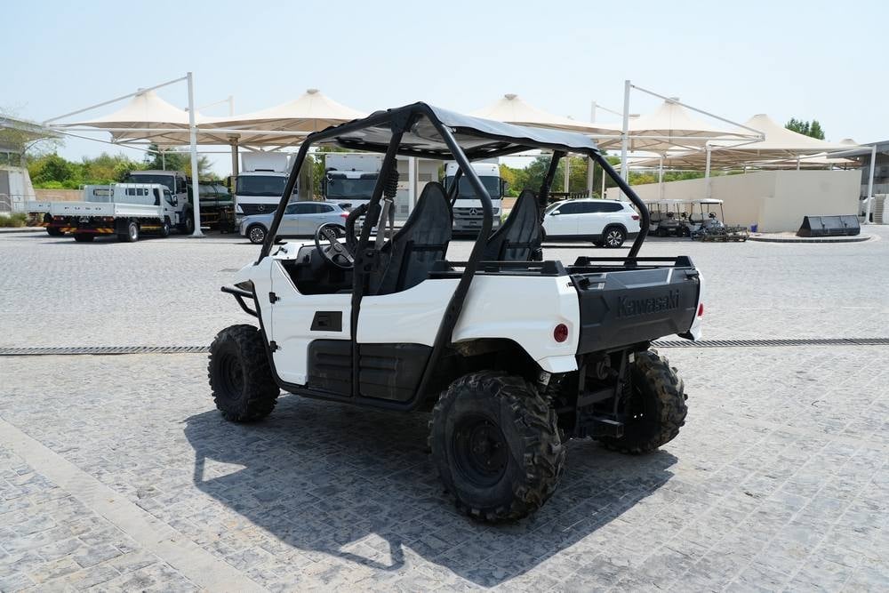 Kawzaki Buggies - 6