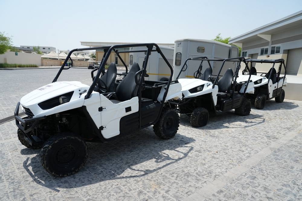 Kawzaki Buggies - 3