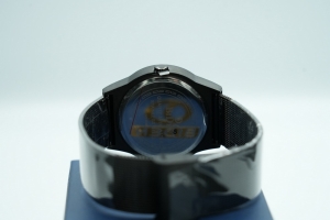 Biden Watch - 10