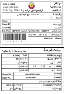 نيسان ألتيما موديل 2009، Y-15785 - 10