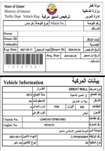 جريت وول موديل 2015، Y-15792 - 11